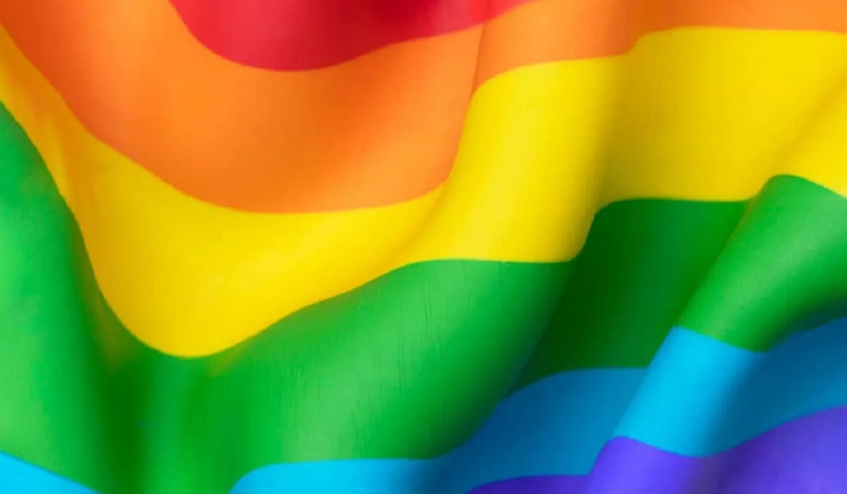 LGBTGの旗