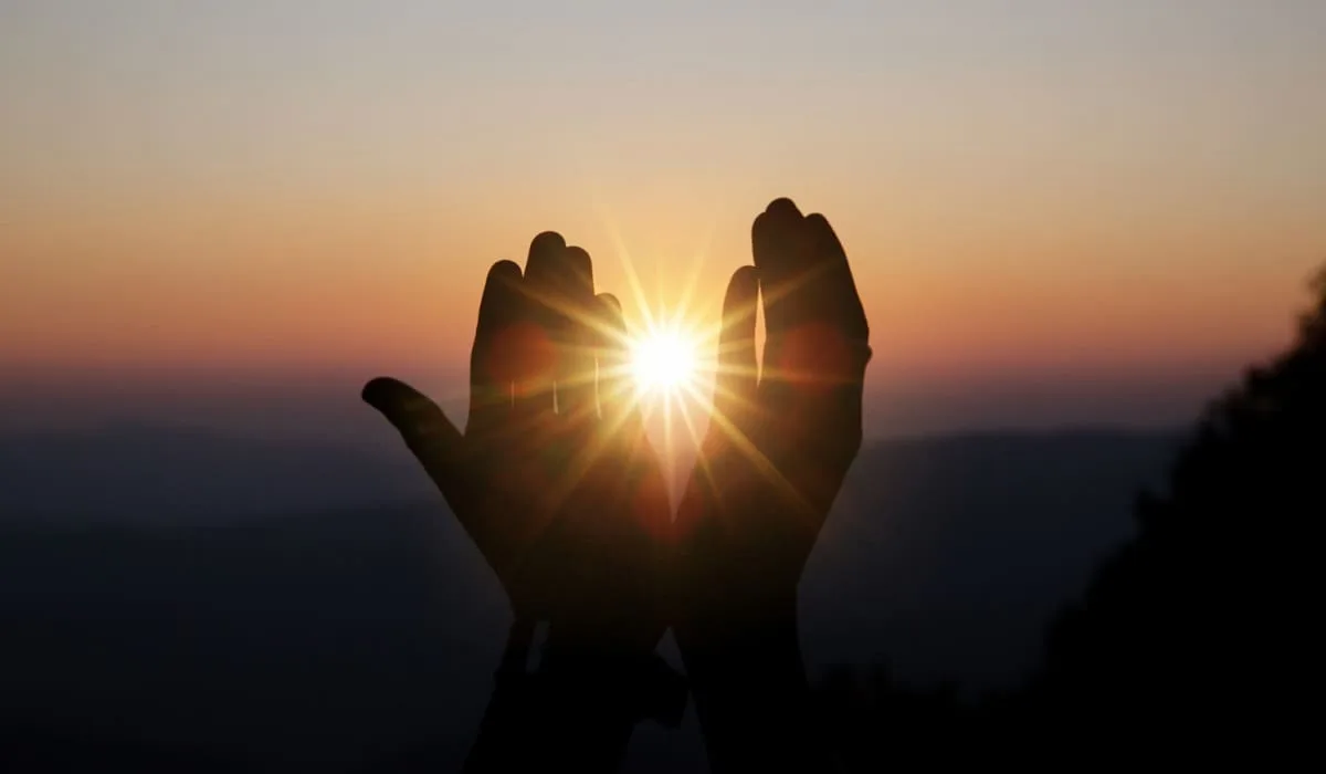 手に差し込む太陽の光