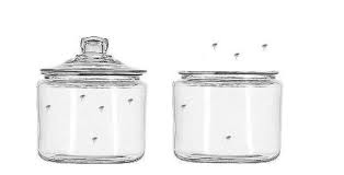 瓶の中にいるノミ